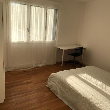 Grenoble Joli Appartement Eksteriør billede