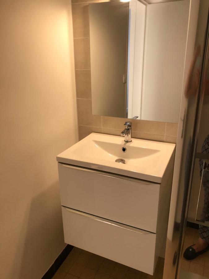 Grenoble Joli Appartement Eksteriør billede
